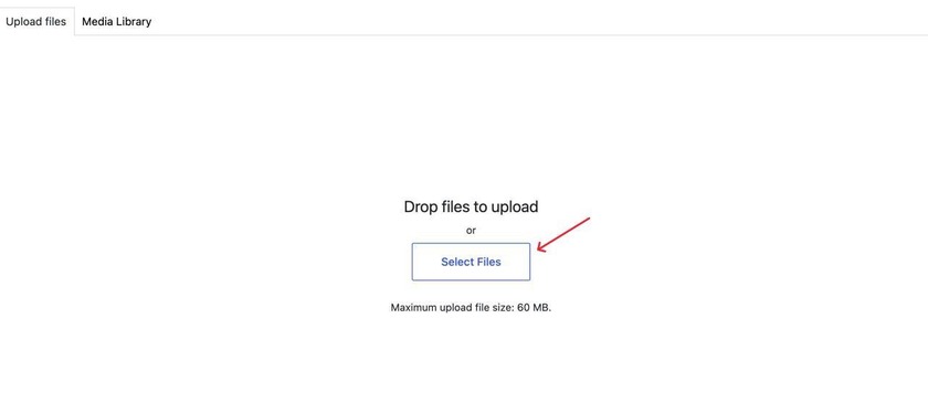 Showing the Select Files button